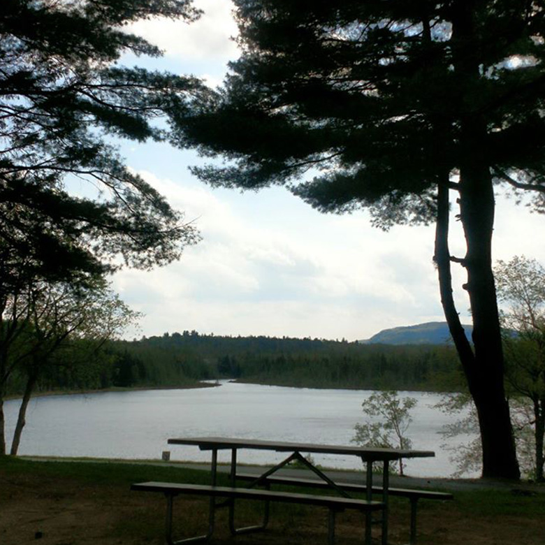picnic area near lake