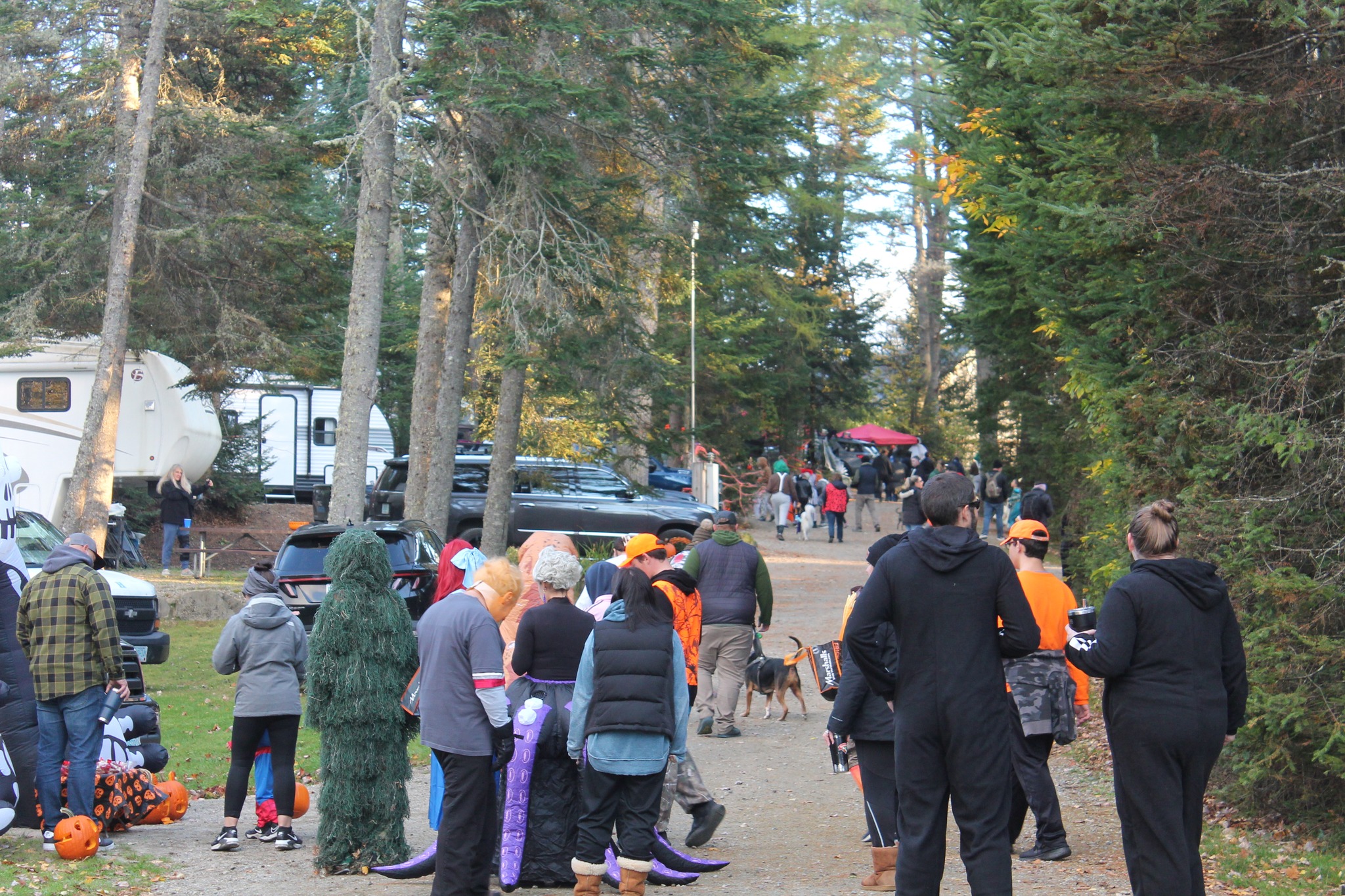 People in costumes at a Halloween event in a wooded campground with RVs.