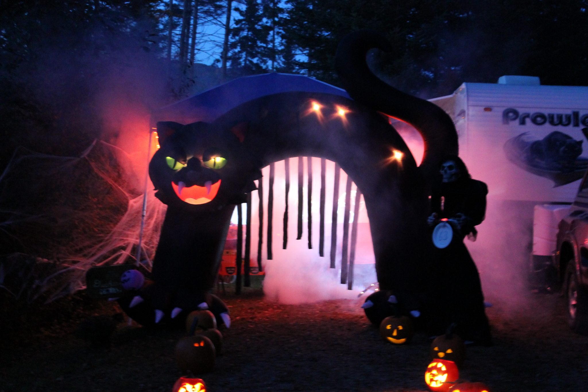 Inflatable black cat archway with Halloween decorations, fog, and pumpkins.